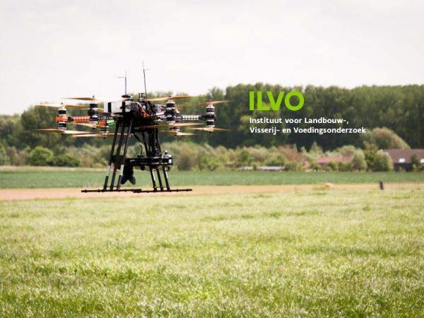 Voeten op de grond, hoofd in A.I.